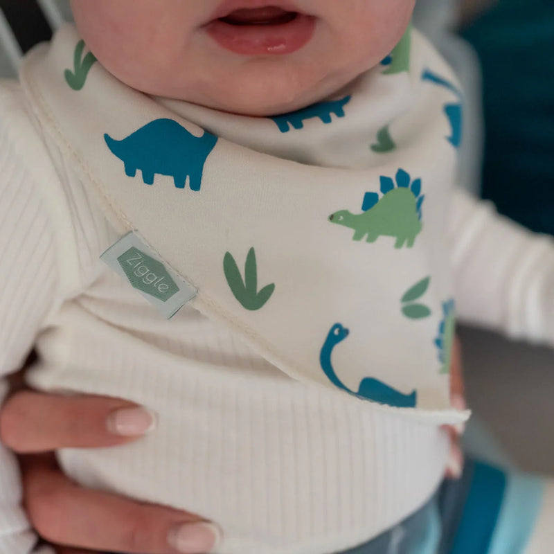 Ziggle Dinos & Stripes Bib Set - Pack 4