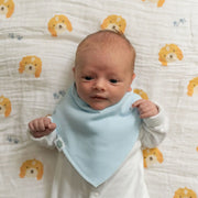 Baby boy wearing a pale blue Ziggle bandana bib.
