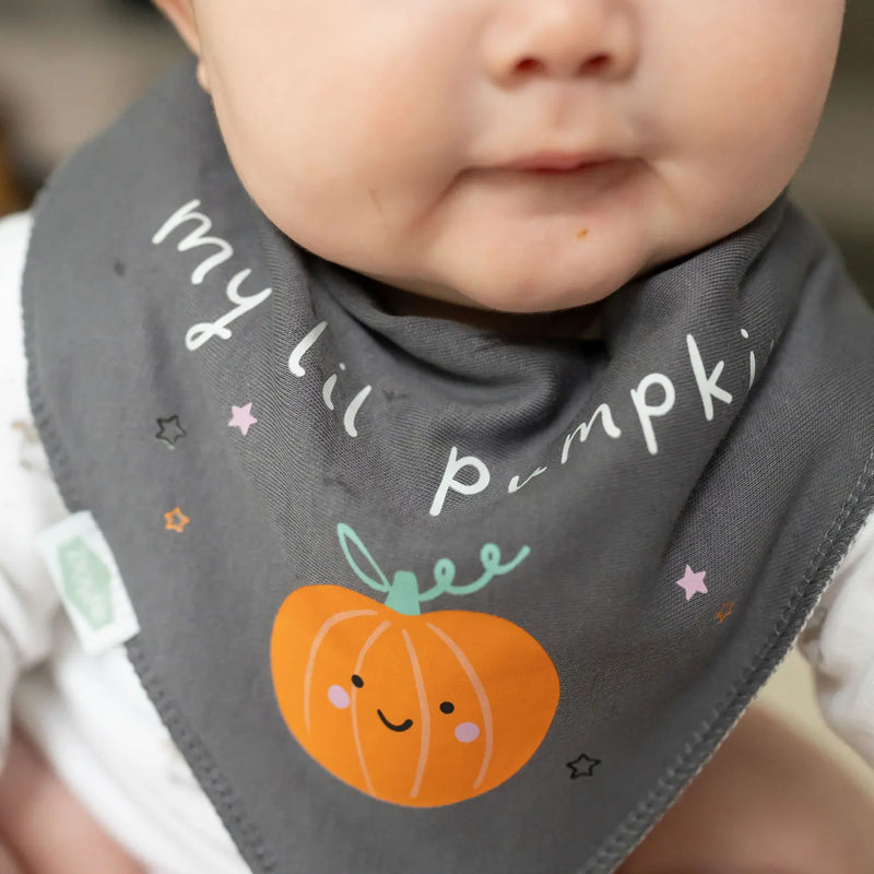 Closer look at the Ziggle my l'il pumpkin bib.