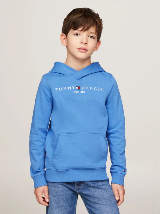 Boys tommy hilfiger hoodie on sale