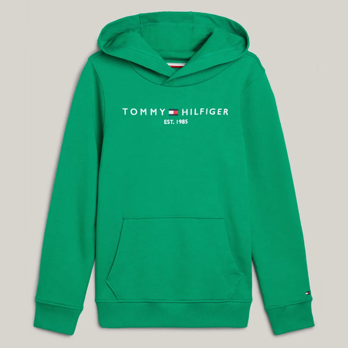 Tommy Hilfiger green essential hoodie - ks00205.