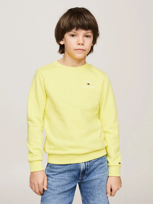 Boy wearing the Tommy Hilfiger logo hoodie.