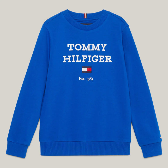 Tommy Hilfiger blue logo sweatshirt - kb08713.