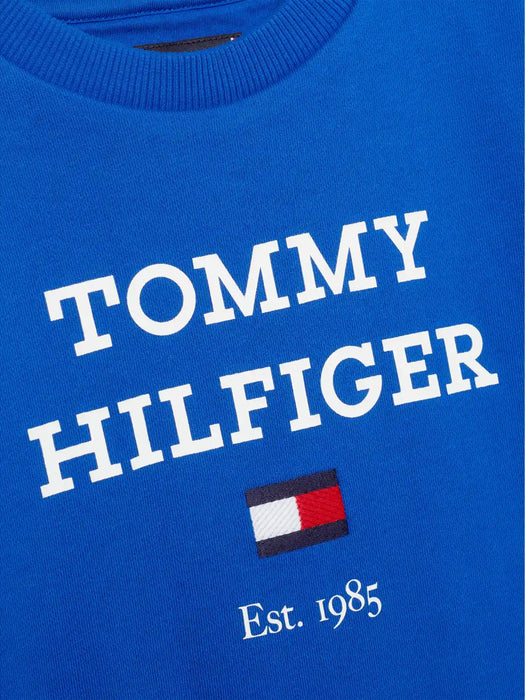 Closer look at the Tommy Hilfiger logo sweatshirt.