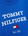 Closer look at the Tommy Hilfiger logo sweatshirt.